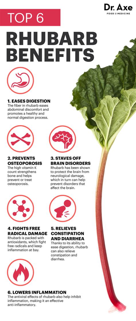 rhubarb benefits and side effects.